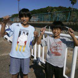 大阪南港海つり公園 釣果