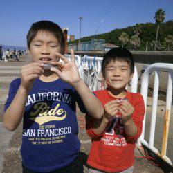 大阪南港海つり公園 釣果