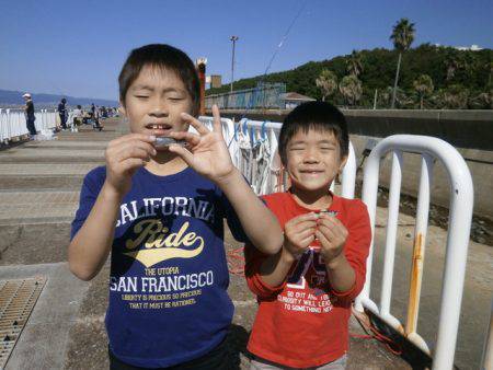大阪南港海つり公園 釣果
