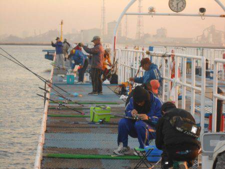オリジナルメーカー海づり公園(市原市海づり施設) 釣果