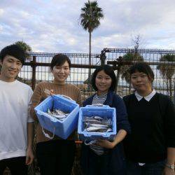 大阪南港海つり公園 釣果