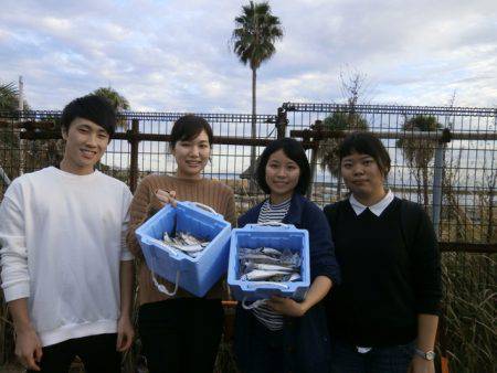 大阪南港海つり公園 釣果