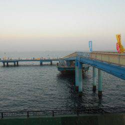 オリジナルメーカー海づり公園(市原市海づり施設) 釣果