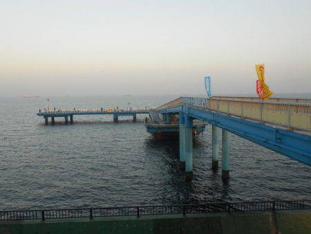 オリジナルメーカー海づり公園(市原市海づり施設) 釣果