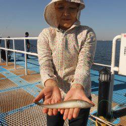 オリジナルメーカー海づり公園(市原市海づり施設) 釣果