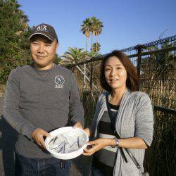 大阪南港海つり公園 釣果