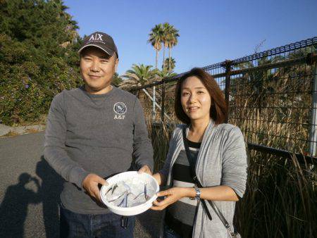 大阪南港海つり公園 釣果