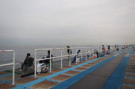 オリジナルメーカー海づり公園(市原市海づり施設) 釣果