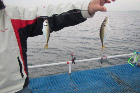 オリジナルメーカー海づり公園(市原市海づり…