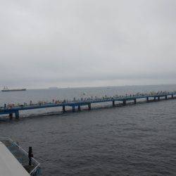 オリジナルメーカー海づり公園(市原市海づり施設) 釣果