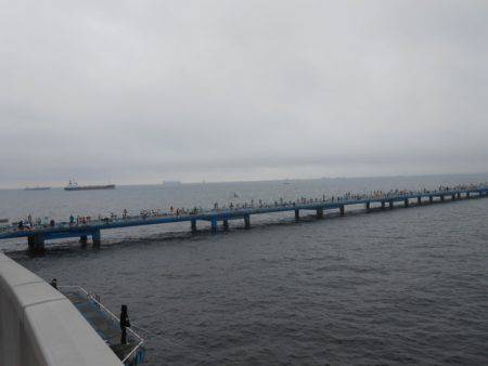 オリジナルメーカー海づり公園(市原市海づり施設) 釣果