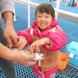 オリジナルメーカー海づり公園(市原市海づり施設) 釣果