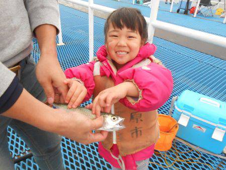 オリジナルメーカー海づり公園(市原市海づり施設) 釣果