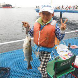 オリジナルメーカー海づり公園(市原市海づり施設) 釣果
