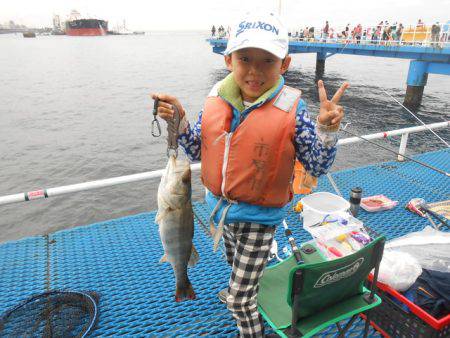 オリジナルメーカー海づり公園(市原市海づり…