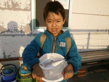 大阪南港海つり公園 釣果