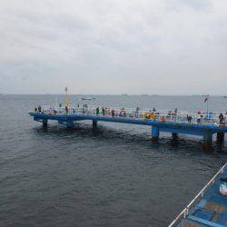 オリジナルメーカー海づり公園(市原市海づり施設) 釣果