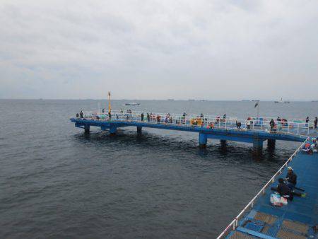 オリジナルメーカー海づり公園(市原市海づり施設) 釣果