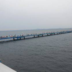 オリジナルメーカー海づり公園(市原市海づり施設) 釣果