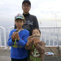 大阪南港海つり公園 釣果
