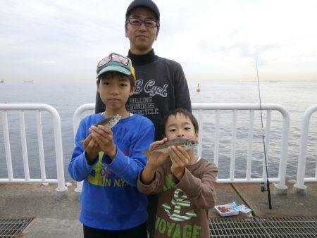 大阪南港海つり公園 釣果