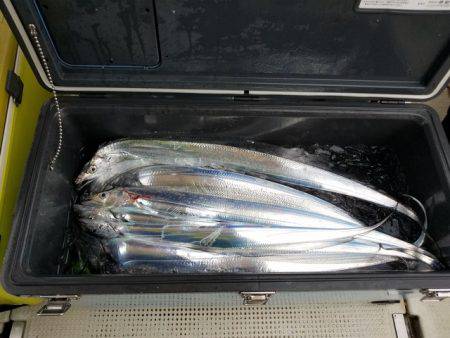 遊漁船　ニライカナイ 釣果