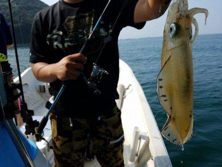 Magic(マジック) 釣果