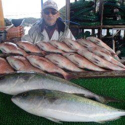 カタタのつり堀 釣果