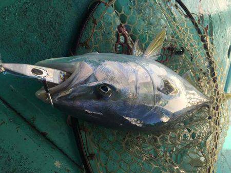 広進丸 釣果