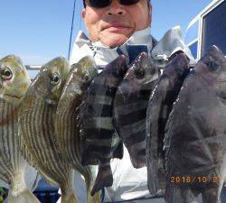 石川丸 釣果