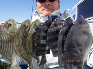 石川丸 釣果