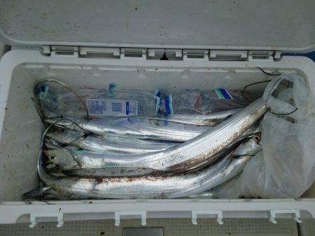 遊漁船　ニライカナイ 釣果