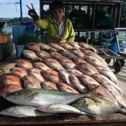 カタタのつり堀 釣果