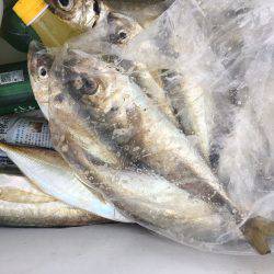 深川　吉野屋 釣果