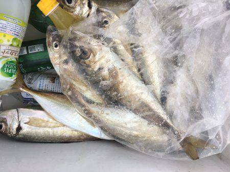 深川　吉野屋 釣果