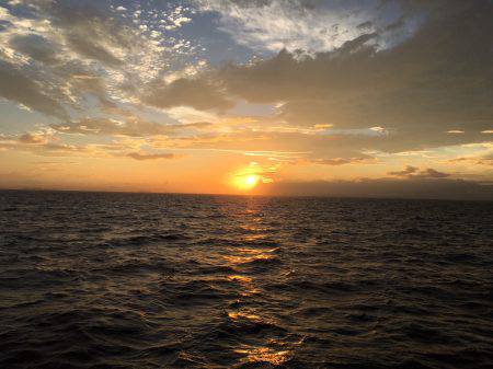 深川 吉野屋 釣果