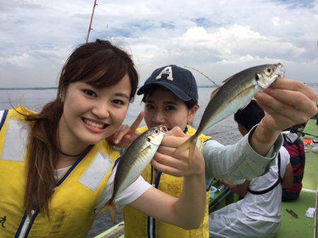深川　吉野屋 釣果