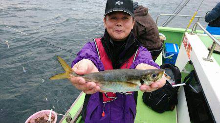 深川 吉野屋 釣果