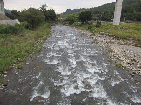 狩野川（狩野川漁業協同組合） 釣果
