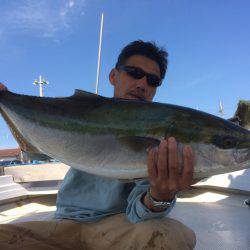 釣り船角田 釣果