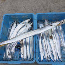 釣り船角田 釣果