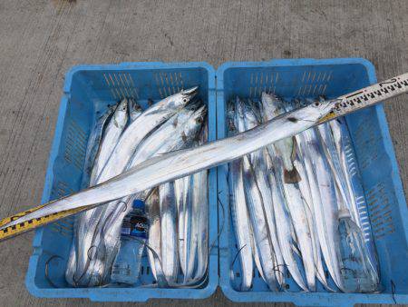 釣り船角田 釣果