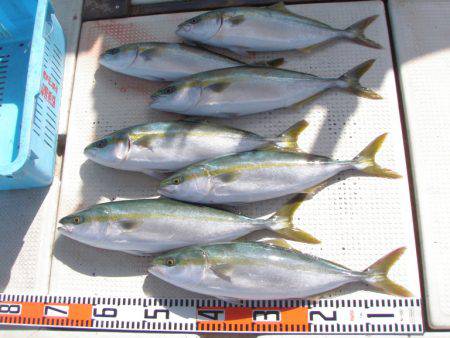 釣り船角田 釣果