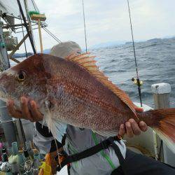遊漁船　ニライカナイ 釣果