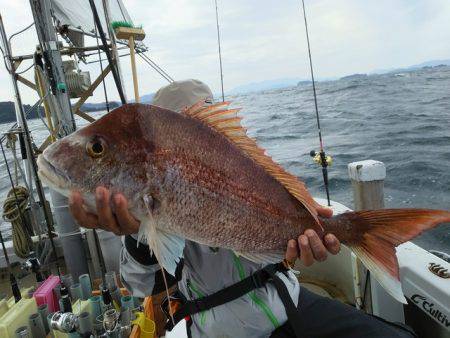 遊漁船　ニライカナイ 釣果