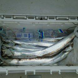 遊漁船　ニライカナイ 釣果