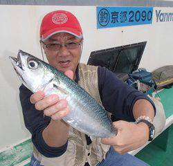 第二むつ漁丸 釣果