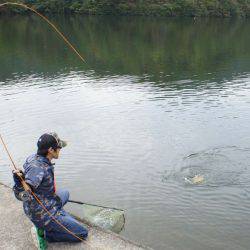 フィッシングレイクたかみや 釣果