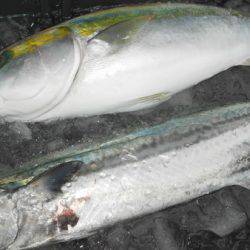 こうゆう丸 釣果