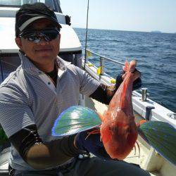 遊漁船　ニライカナイ 釣果